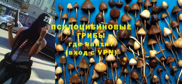 герыч Ельня